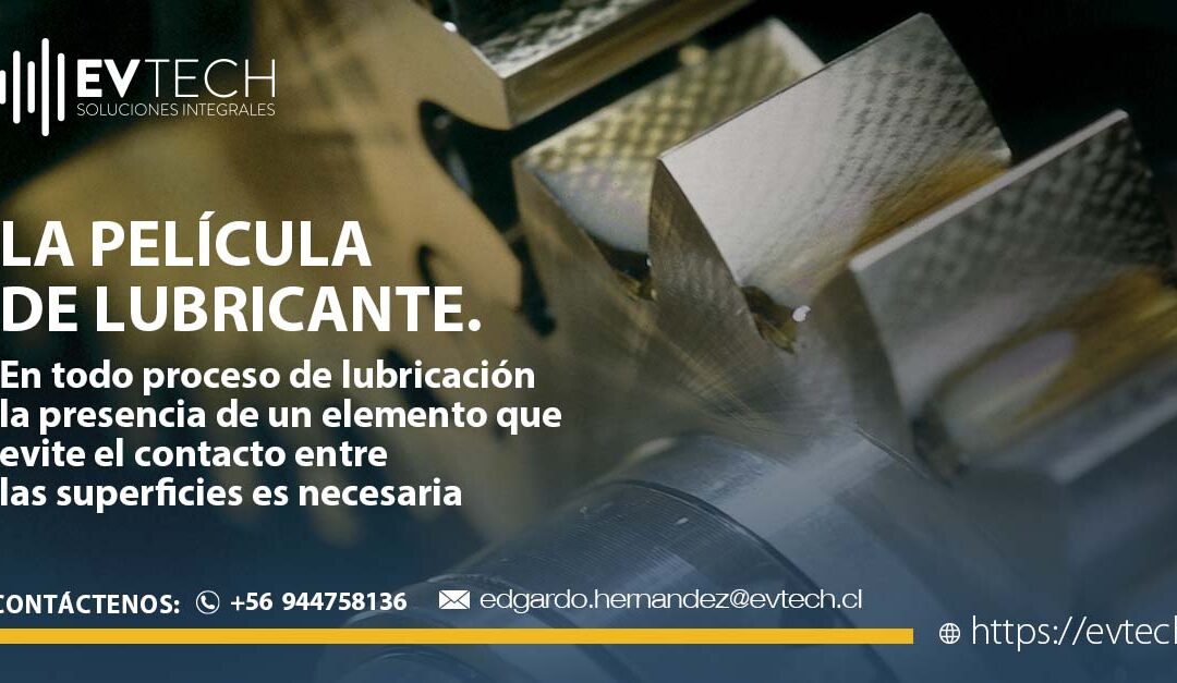 La película de lubricante